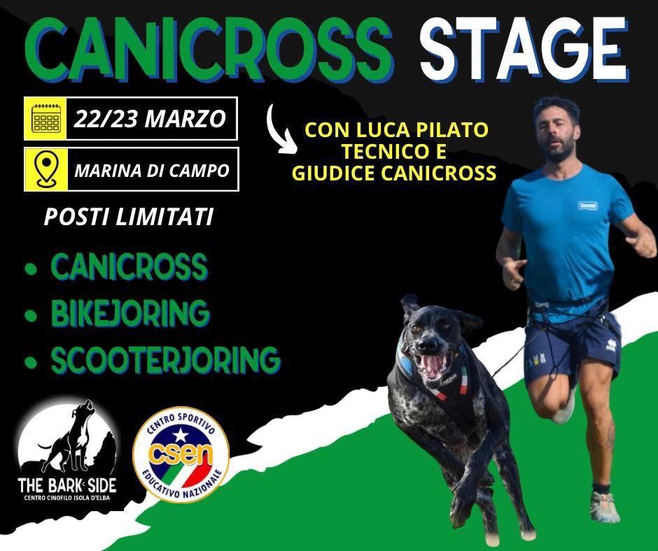 Locandina stage di canicross con Luca Pilato