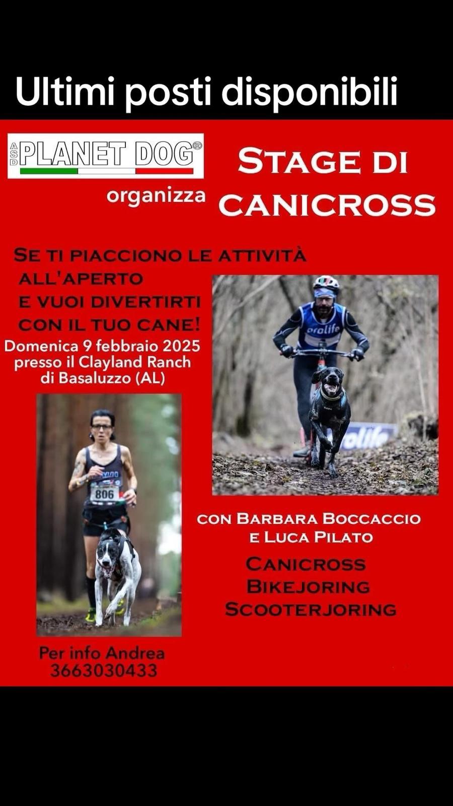 Locandina stage di canicross con Luca Pilato