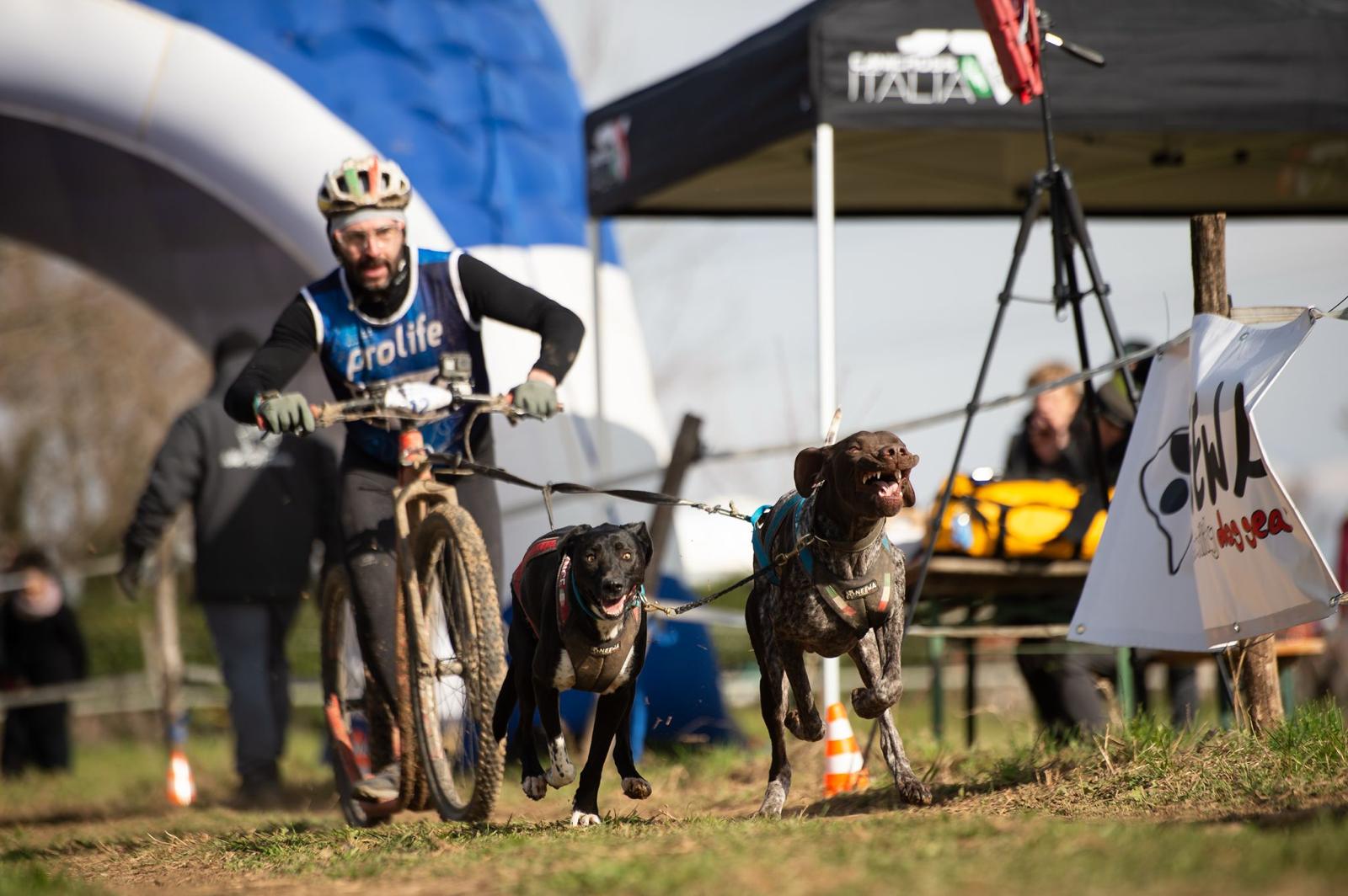 Luca Pilato in gara con i suoi cani