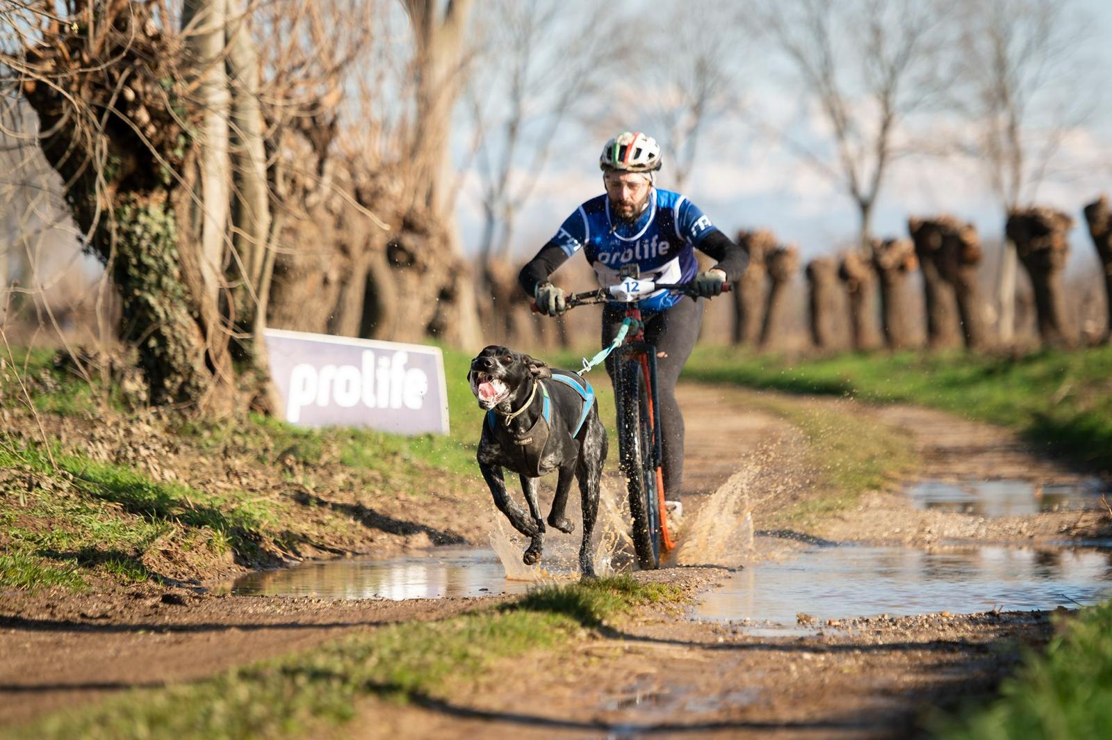Luca Pilato con i suoi cani