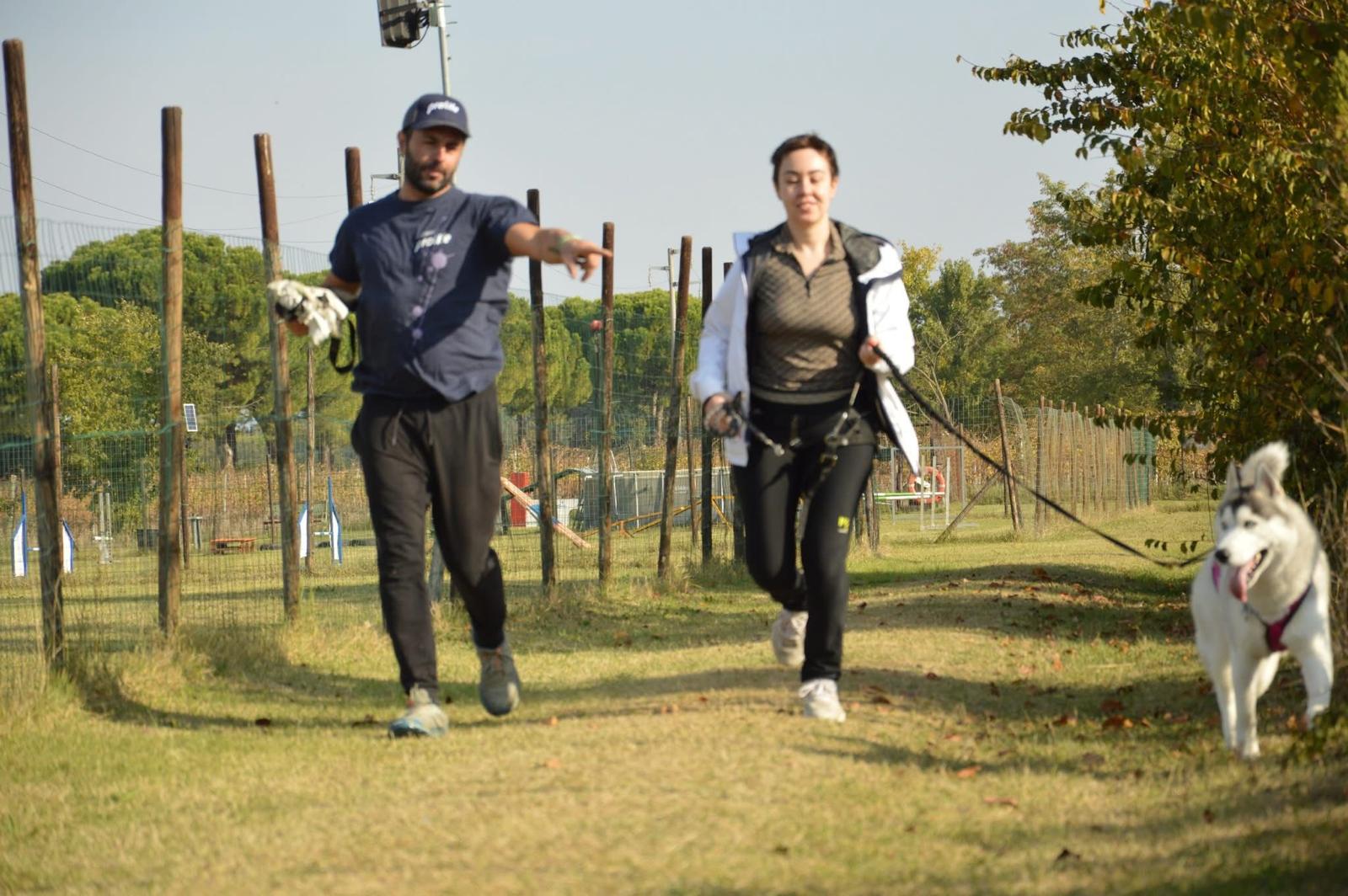 Allenamento di canicross